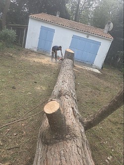 Abattage d'arbre dangereux et élagage en urgence sur toute l'Île d'Oléron. Entmayer est votre expert pour la mise en sécurité de vos espaces. Nous intervenons rapidement pour l'abattage d'arbres menaçants (malades, fragilisés, ou proches des habitations) dans toutes les communes : Saint-Georges-d'Oléron, Saint-Pierre-d'Oléron, Le Château-d'Oléron, Saint-Trojan-les-Bains, La Brée-les-Bains, Dolus-d'Oléron et Le Grand-Village-Plage. Nous garantissons une intervention sécurisée et le dessouchage après l'abattage. Élagage et abattage d'arbre dangereux par un professionnel local (17190).