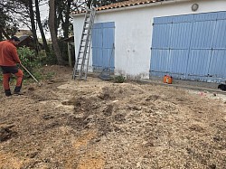 Abattage d'arbre dangereux et élagage en urgence sur toute l'Île d'Oléron. Entmayer est votre expert pour la mise en sécurité de vos espaces. Nous intervenons rapidement pour l'abattage d'arbres menaçants (malades, fragilisés, ou proches des habitations) dans toutes les communes : Saint-Georges-d'Oléron, Saint-Pierre-d'Oléron, Le Château-d'Oléron, Saint-Trojan-les-Bains, La Brée-les-Bains, Dolus-d'Oléron et Le Grand-Village-Plage. Nous garantissons une intervention sécurisée et le dessouchage après l'abattage. Élagage et abattage d'arbre dangereux par un professionnel local (17190).